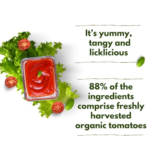My Organic Earth - Jain Tomato Ketchup (Pack of 2) | No Onion No Garlic Tomato Ketchup | Low on Sugar | Certified Organic Tomatoes | (300gm x 2) — image 3