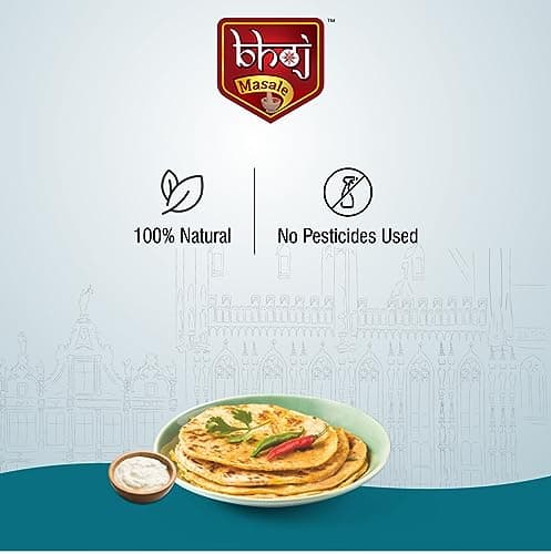 Bhoj Masale Paratha Masala 100GM | Premium Artisanal Jain Spices with Rich & Strong Flavour | Ready to Use | No added colours | No Onion and No Garlic (Jain Friendly) — image 8