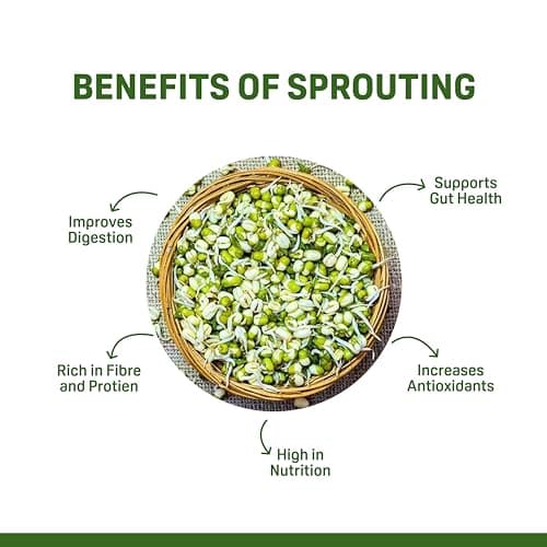 Natible Sprouted Protein & Millet Chilla Dosa Mix (Spinach Masala) Instant Breakfast Meal I Gluten Free I High Protein I No Onion No Garlic I Suitable for Kids & Adults I Travel Friendly 200g — image 7