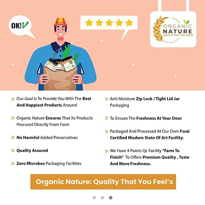 ORGANIC NATURE Dehydrated Ready to use Tomato Powder Pack of 400 Gram — image 8