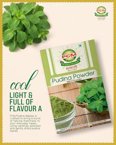 PCM Pudina Powder (Mint Powder) 100g | Natural Dry Mint Powder for Chutney, Raita, Jaljeera, Drinks, Seasonings & Cooking | Aromatic Flavor — image 4