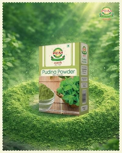 PCM Pudina Powder (Mint Powder) 100g | Natural Dry Mint Powder for Chutney, Raita, Jaljeera, Drinks, Seasonings & Cooking | Aromatic Flavor — image 7