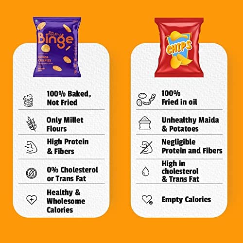 The Healthy Binge Ultimate 10 Assorted Healthy Snacks Combo – Millet Snack Combo | Baked Snack Variety Pack | Healthy Snacks for Kids and Adults (Pack of 10) — image 7