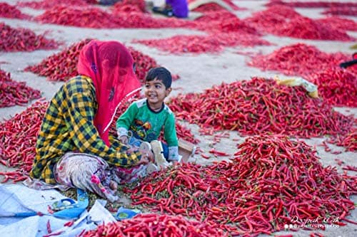 Shirish Masala Mathania Lal Mirch Powder 1 Kg | Mathania Red Chilli Powder | Red Chilli Powder | La Mirch Powder — image 4